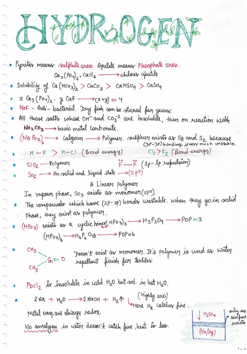 WhatsApp Image 2025-06-30 at 8.35.21 PM